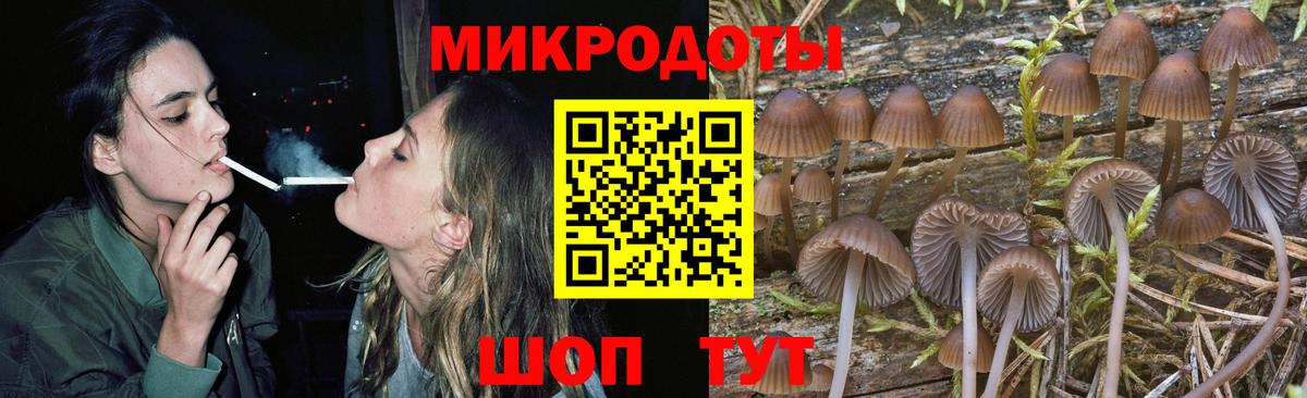 Псилоцибиновые грибы MAGIC MUSHROOMS  Вход с VPN  Псилоцибиновые грибы мицелий  Комсомольск-на-Амуре 